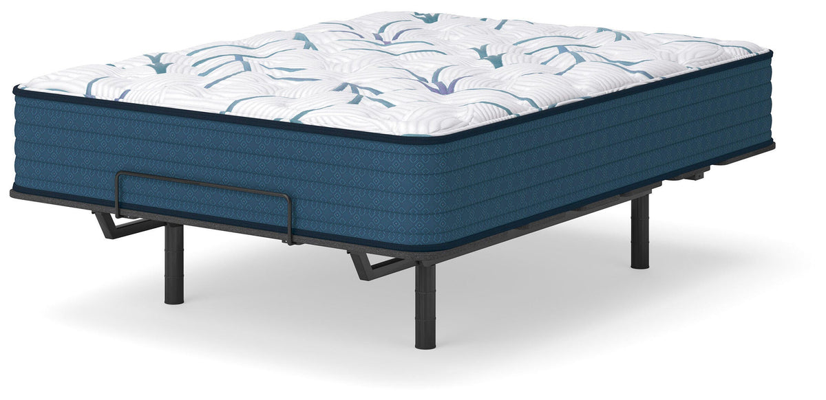 Limited Edition Plush 3.0 Full Mattress