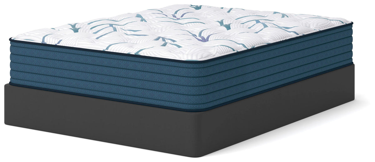 Limited Edition Plush 3.0 King Mattress