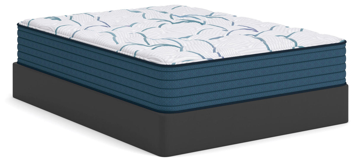Limited Edition Plush 3.0 Full Mattress